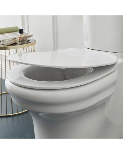 Сиденье для унитаза с микролифтом Jacob Delafon Cleo E24048-0