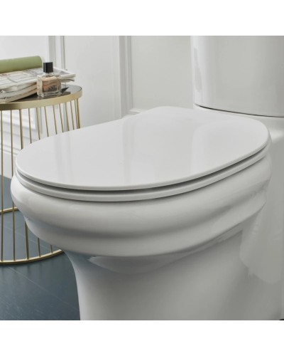 Сиденье для унитаза с микролифтом Jacob Delafon Cleo E24048-0