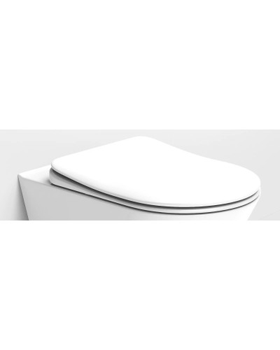 Сиденье для унитаза с микролифтом Boheme Avva 976-W