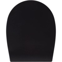 Сиденье для унитаза с микролифтом Allen Brau Fantasy 4.11005.31