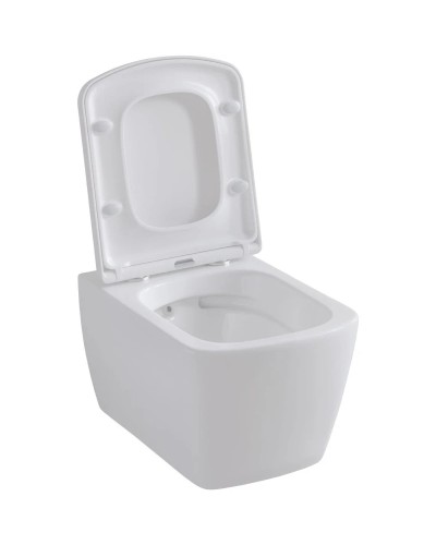 Сиденье для унитаза с микролифтом Allen Brau Liberty 4.33006.20