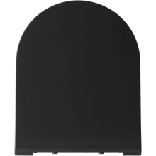 Сиденье для унитаза с микролифтом Allen Brau Priority 4.31004.AN