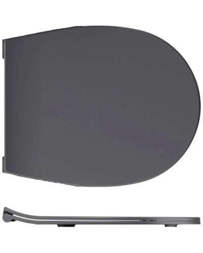 Сиденье для унитаза с микролифтом Allen Brau Reality 4.32007.AN