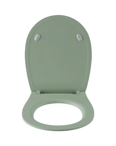 Сиденье для унитаза с микролифтом Allen Brau Fantasy 4.11005.MT