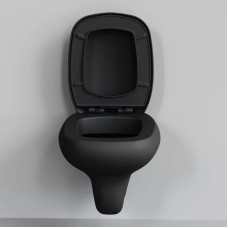 Сиденье для унитаза с микролифтом Ambassador Diamond 122T20201