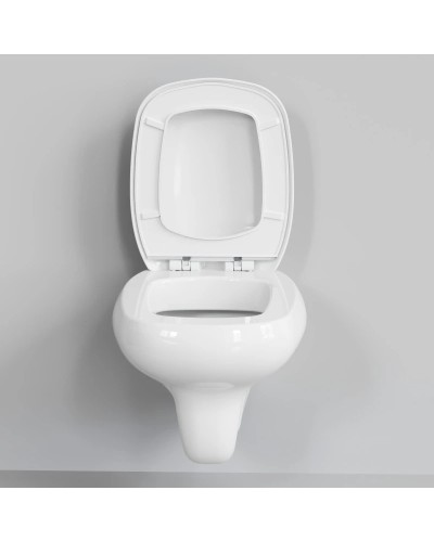 Сиденье для унитаза с микролифтом Ambassador Diamond 122T20001