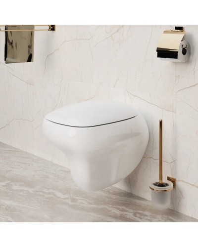 Сиденье для унитаза с микролифтом Ambassador Diamond 122T20001