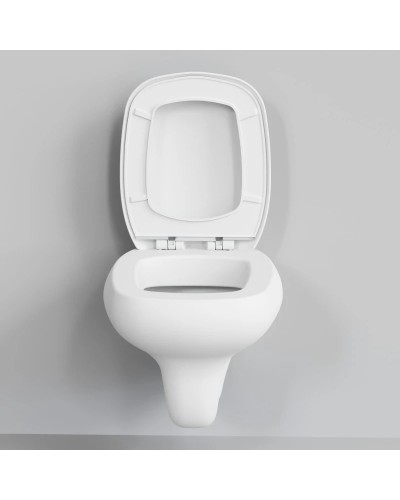 Сиденье для унитаза с микролифтом Ambassador Diamond 122T20101