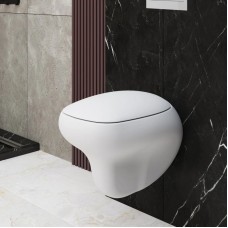 Сиденье для унитаза с микролифтом Ambassador Diamond 122T20101