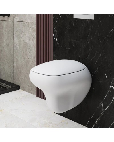 Сиденье для унитаза с микролифтом Ambassador Diamond 122T20101