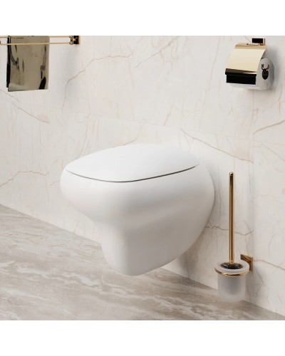 Сиденье для унитаза с микролифтом Ambassador Diamond 122T20101