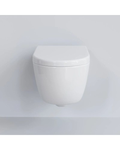 Сиденье для унитаза с микролифтом Ambassador Abner 102T20001