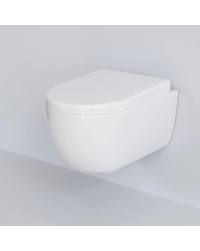 Сиденье для унитаза с микролифтом Ambassador Abner 102T20001