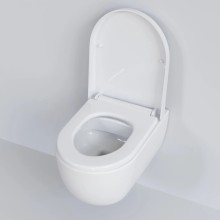 Сиденье для унитаза с микролифтом Ambassador Abner 102T20001