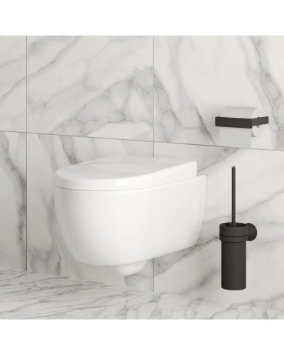 Сиденье для унитаза с микролифтом Ambassador Abner 102T20001