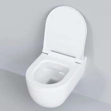 Сиденье для унитаза с микролифтом Ambassador Abner 102T20001S