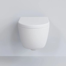 Сиденье для унитаза с микролифтом Ambassador Abner 102T20101