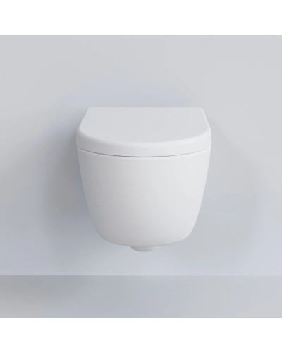 Сиденье для унитаза с микролифтом Ambassador Abner 102T20101