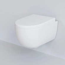 Сиденье для унитаза с микролифтом Ambassador Abner 102T20101