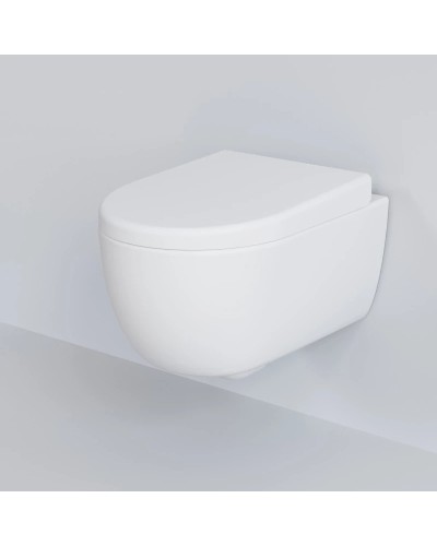 Сиденье для унитаза с микролифтом Ambassador Abner 102T20101