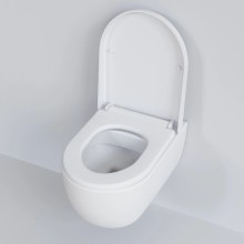 Сиденье для унитаза с микролифтом Ambassador Abner 102T20101