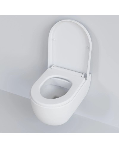 Сиденье для унитаза с микролифтом Ambassador Abner 102T20101