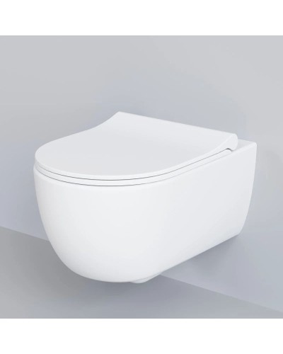 Сиденье для унитаза с микролифтом Ambassador Abner 102T20101S