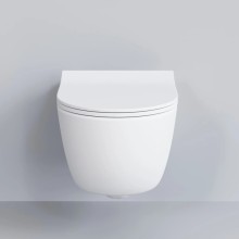 Сиденье для унитаза с микролифтом Ambassador Abner 102T20101S