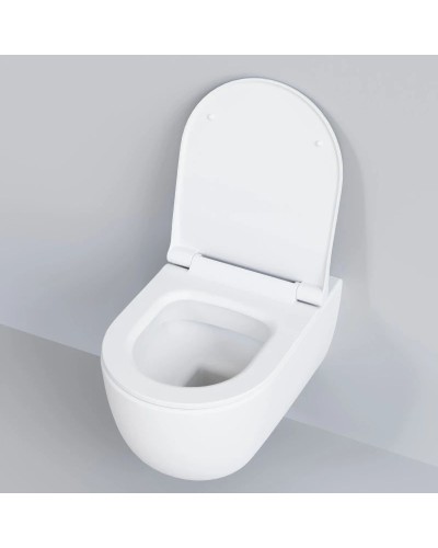 Сиденье для унитаза с микролифтом Ambassador Abner 102T20101S