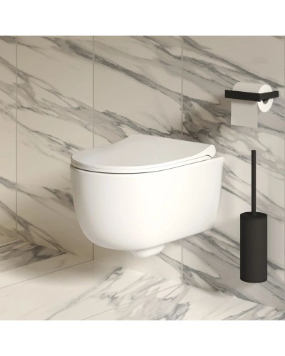 Сиденье для унитаза с микролифтом Ambassador Abner 102T20101S