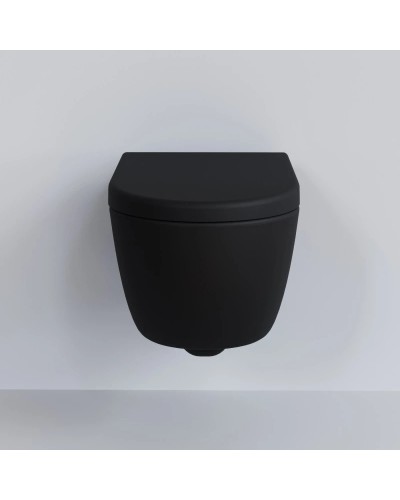 Сиденье для унитаза с микролифтом Ambassador Abner 102T20201