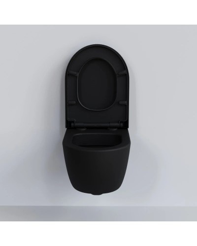 Сиденье для унитаза с микролифтом Ambassador Abner 102T20201