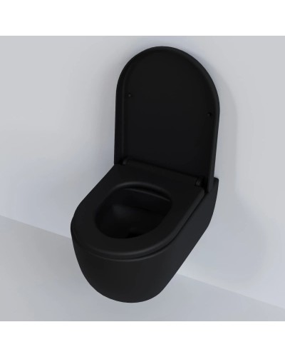 Сиденье для унитаза с микролифтом Ambassador Abner 102T20201