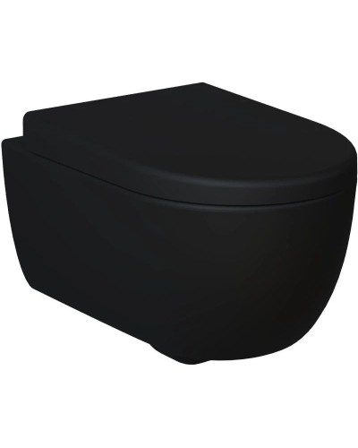 Сиденье для унитаза с микролифтом Ambassador Abner 102T20201