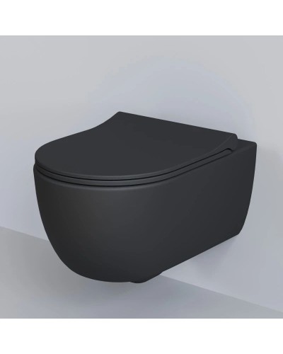 Сиденье для унитаза с микролифтом Ambassador Abner 102T20201S