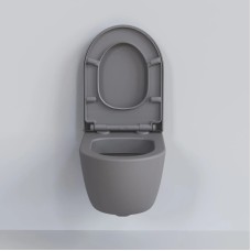 Сиденье для унитаза с микролифтом Ambassador Abner 102T20301