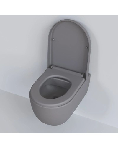 Сиденье для унитаза с микролифтом Ambassador Abner 102T20301