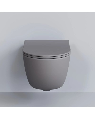 Сиденье для унитаза с микролифтом Ambassador Abner 102T20301S