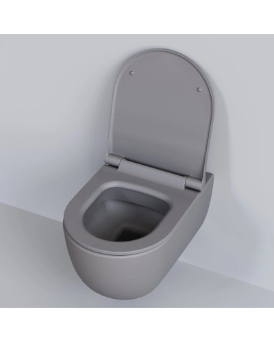 Сиденье для унитаза с микролифтом Ambassador Abner 102T20301S