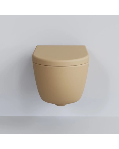 Сиденье для унитаза с микролифтом Ambassador Abner 102T20501