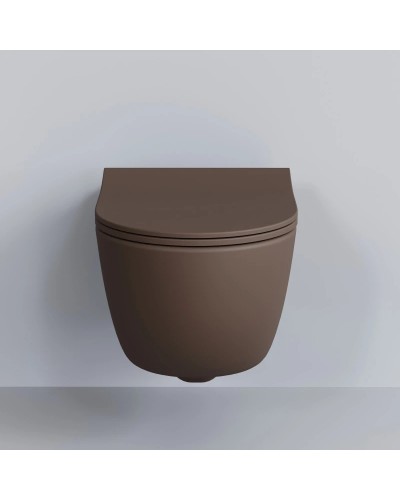 Сиденье для унитаза с микролифтом Ambassador Abner 102T20601S