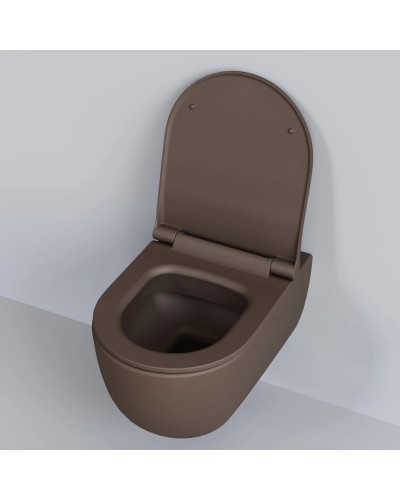 Сиденье для унитаза с микролифтом Ambassador Abner 102T20601S