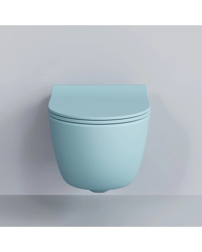 Сиденье для унитаза с микролифтом Ambassador Abner 102T20801S