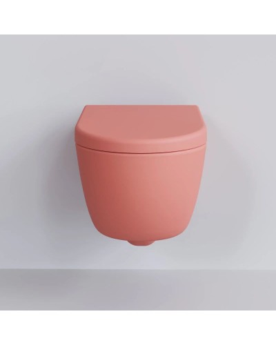 Сиденье для унитаза с микролифтом Ambassador Abner 102T20901