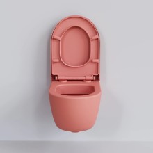 Сиденье для унитаза с микролифтом Ambassador Abner 102T20901