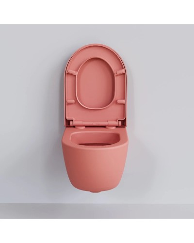 Сиденье для унитаза с микролифтом Ambassador Abner 102T20901