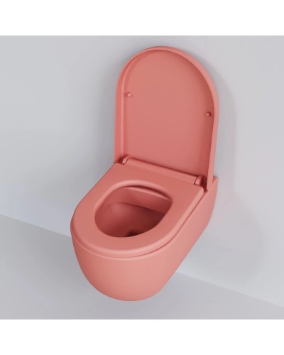 Сиденье для унитаза с микролифтом Ambassador Abner 102T20901