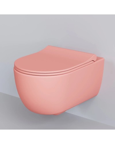 Сиденье для унитаза с микролифтом Ambassador Abner 102T20901S