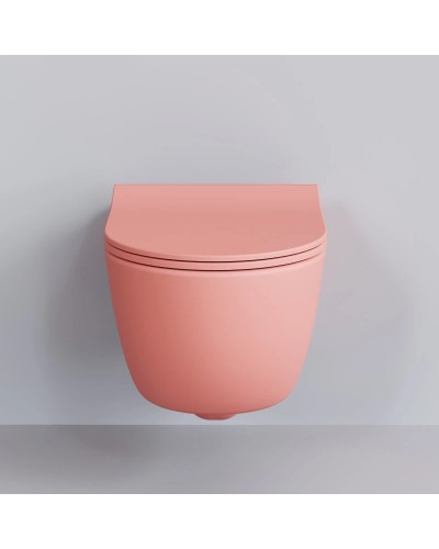 Сиденье для унитаза с микролифтом Ambassador Abner 102T20901S