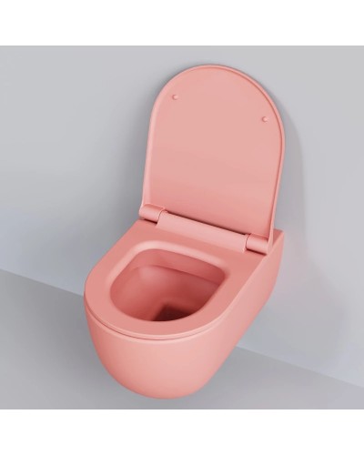 Сиденье для унитаза с микролифтом Ambassador Abner 102T20901S